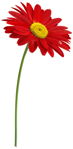 Стебель цветочка