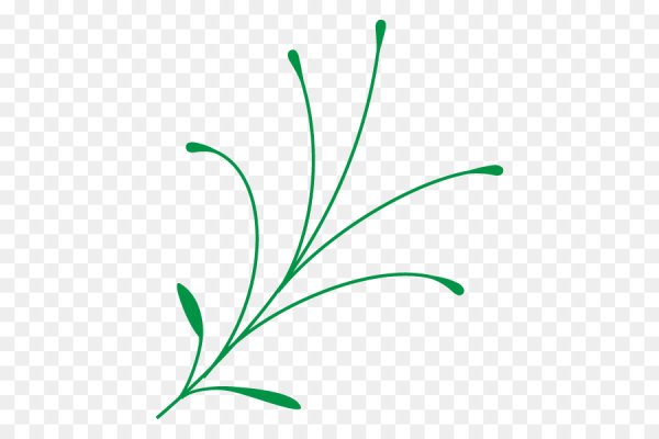 Стебель цветка