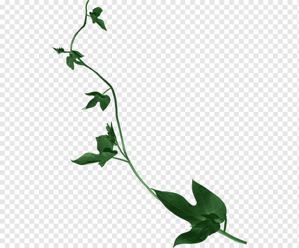 Цветок со стеблем вектор