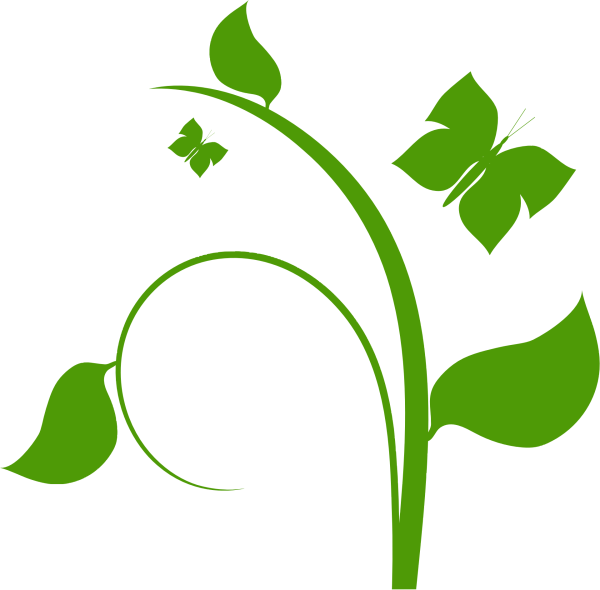 Векторные растения на прозрачном фоне