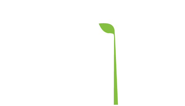 Стебельки без цветов