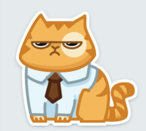 Кот персик ВК