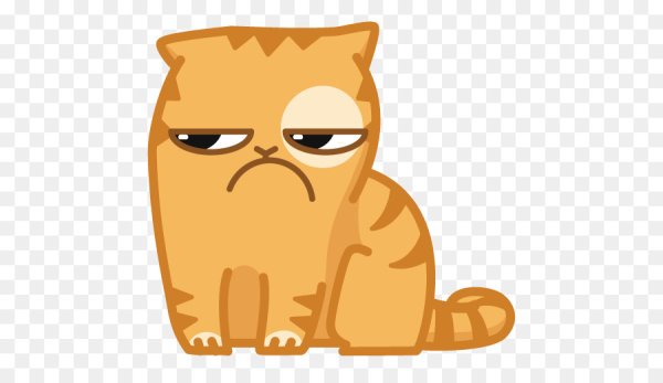 Кот персик Стикеры