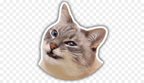 Стикер Кошачья голова