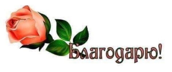 Благодарю на белом фоне