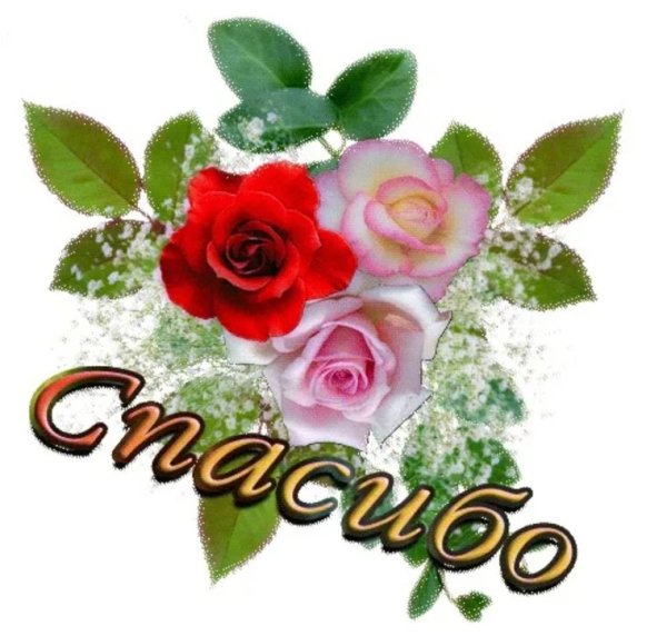 Красивые Стикеры с благодарностью