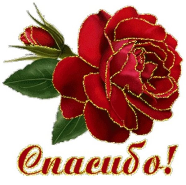 Стикер спасибо