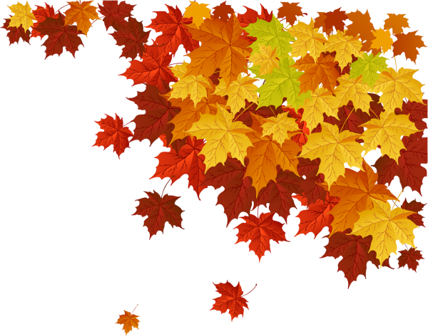 Кленовый лист на прозрачном фоне