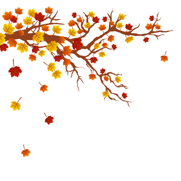 Осенние листья на ветке дерева