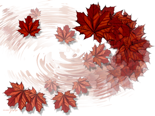 Осень на прозрачном фоне для фотошопа