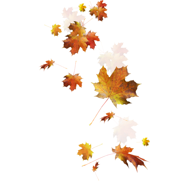 Осенние листья