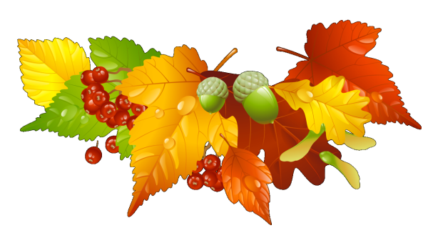 Осенние листья