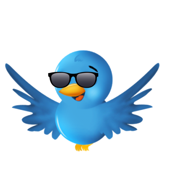 Птичка из твиттера
