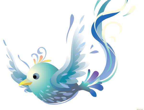 Красивые птицы на прозрачном фоне