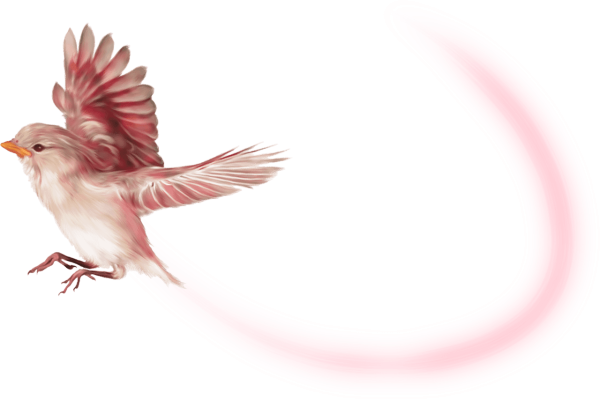 Птицы на прозрачном фоне для фотошопа