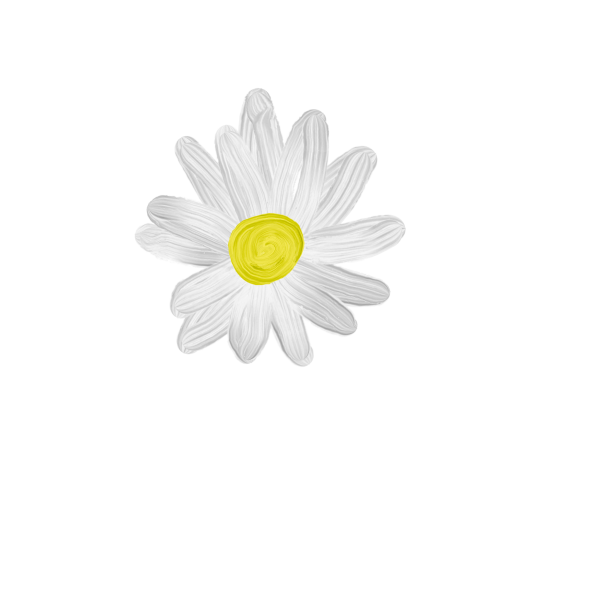 Маленькие ромашки на прозрачном фоне