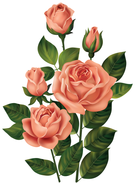 Цветы на прозрачном фоне