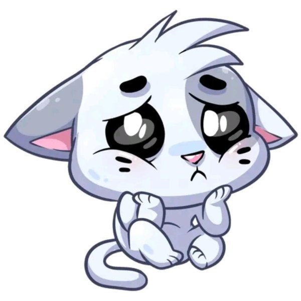 Стикеры ВК кот бисквит