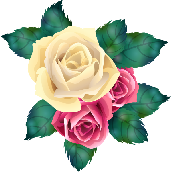 Роза без фона