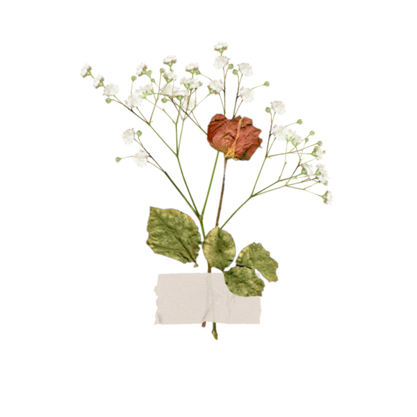 Наклейки цветы Эстетика