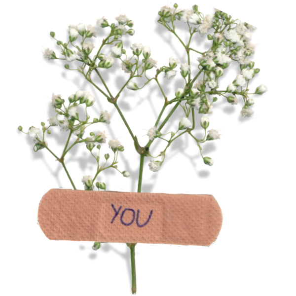 Цветы приклеенные пластырем