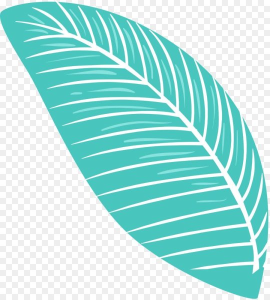 Стикер лето на прозрачном фоне