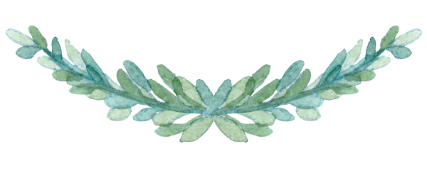 Ветка растения акварелью на прозрачном фоне