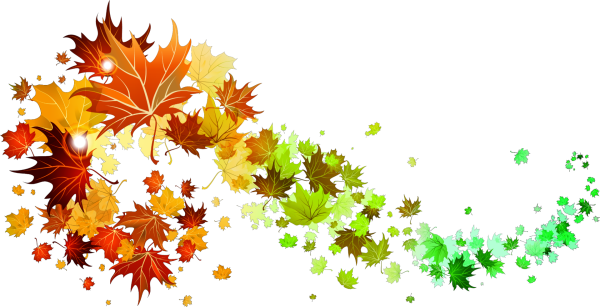 Осенний ценопад