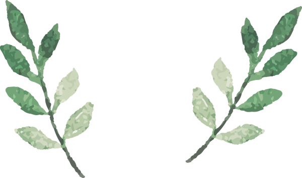 Листья акварелью без фона