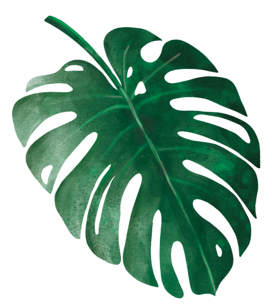 Тропические листья
