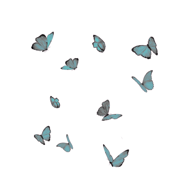 Эстетичные бабочки на прозрачном фоне