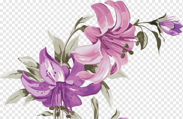 Фиолетовые лилии