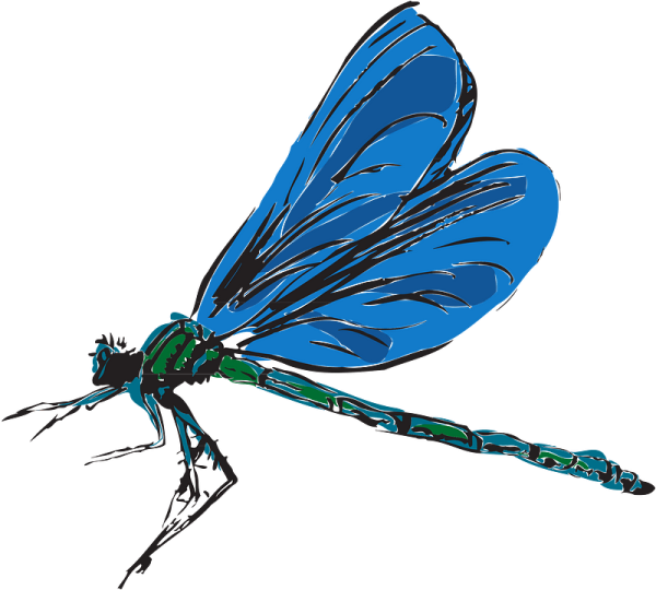 Стрекоза вектор