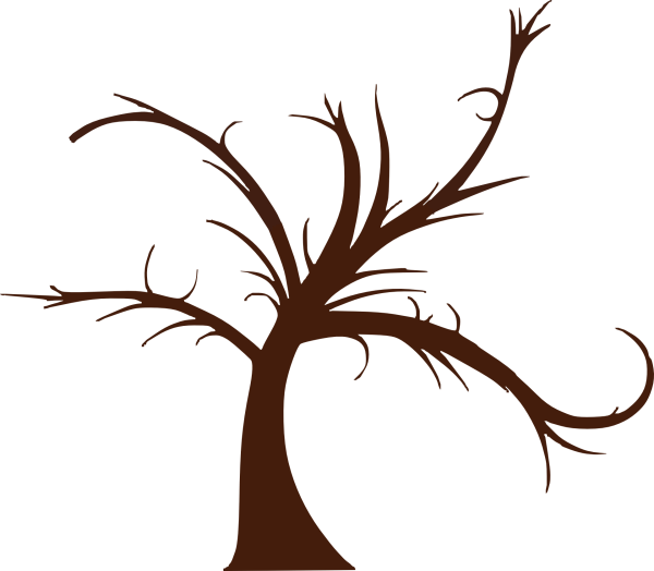 Дерево рисунок без листьев