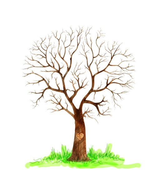 Дерево без листьев