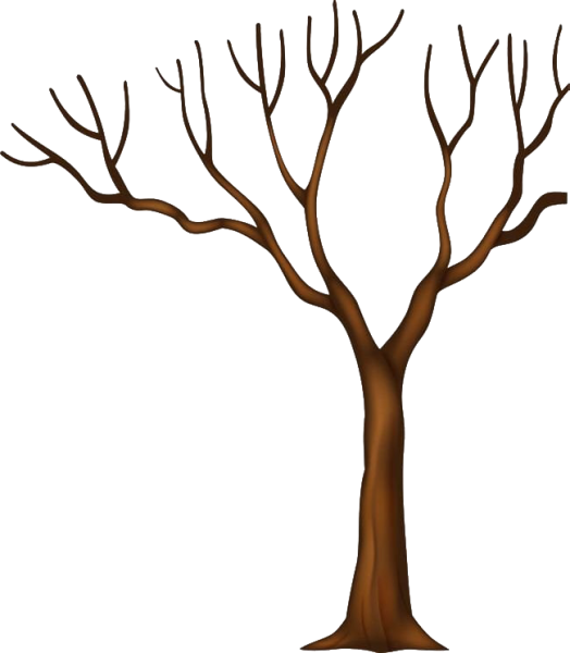 Дерево без листвы