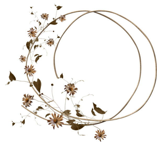 Коричневый цветок на белом фоне