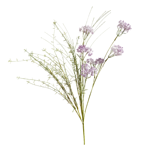 Полевые травы