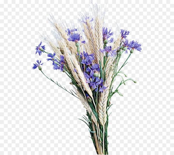 Букеты с васильками и колосками