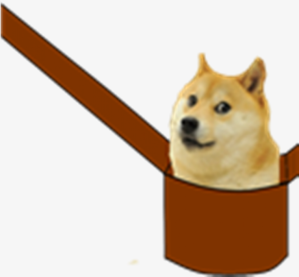 Доги из РОБЛОКСА