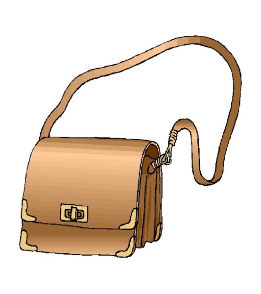 Сумочка для презентации