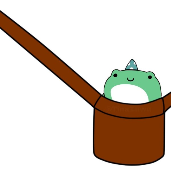 Frog in a Bag РОБЛОКС