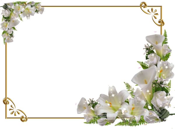 Рамка с белыми цветами