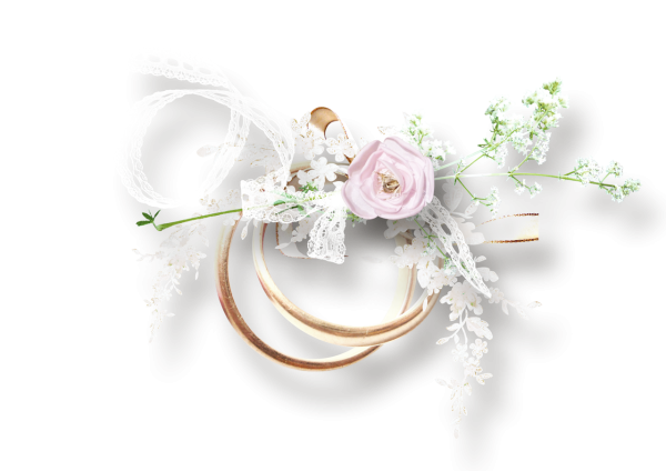 Свадебные атрибуты на прозрачном фоне