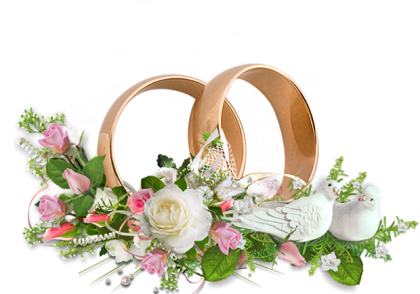 Свадебные кольца и цветы на белом фоне