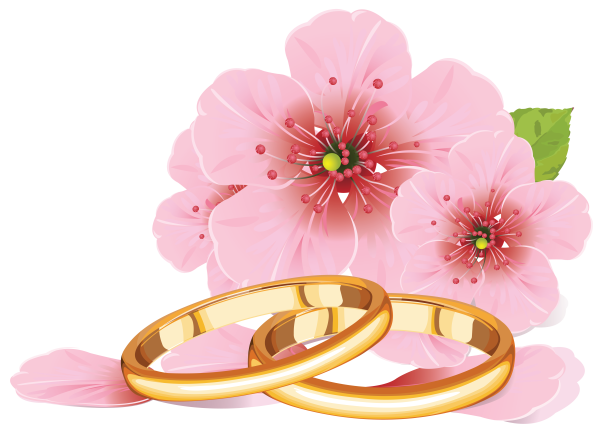 Свадебные кольца на прозрачном фоне