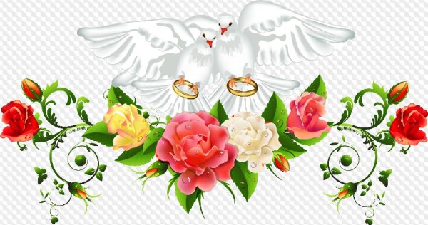 Клипарт свадьба на прозрачном фоне