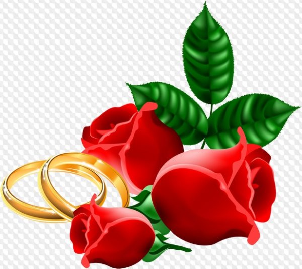 Обручальные кольца цветы на прозрачном фоне