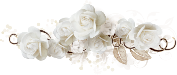 Гирлянда из белых роз на прозрачном фоне