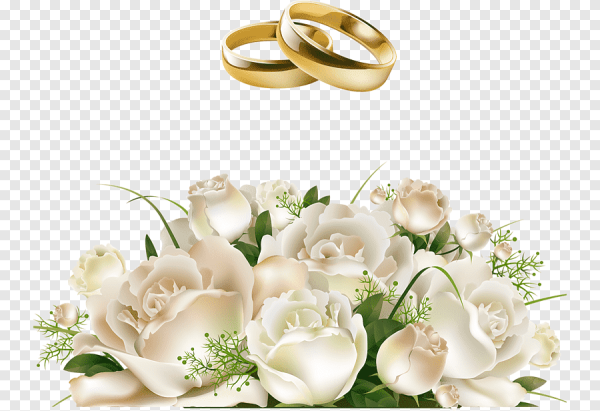 Букет белых роз на прозрачном фоне